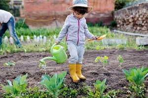 Mädchen, Garten, Gießkanne, Gummistiefel, Gartenarbeit, Gemüse