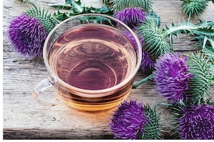Glas Tee aus frischer Mariendistel hilft, die Leber zu entgiften