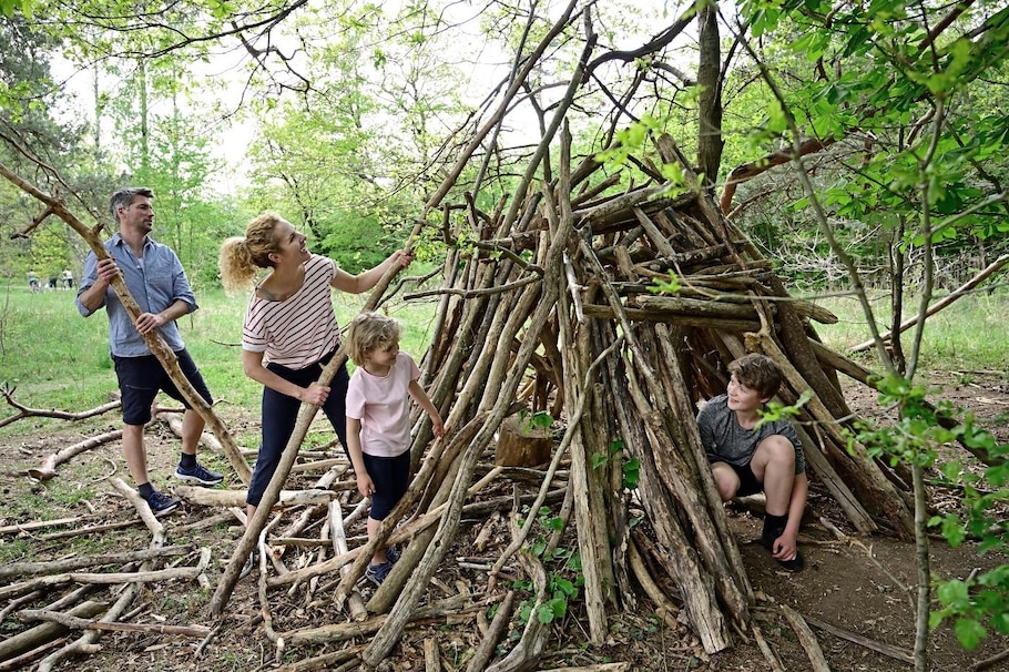 Sommerferien günstig: Vater, Mutter, Tochter, Sohn bauen Tipi im Wald
