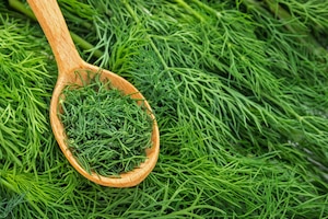 Polyphenol, Quercetin, Dill