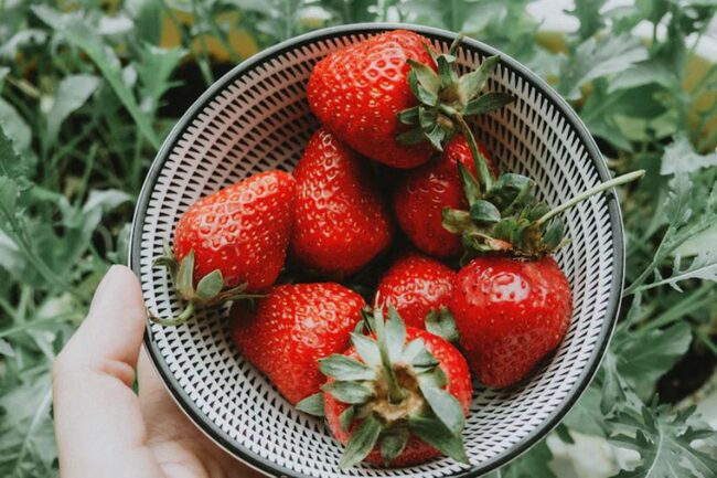 Erdbeeren in Schale