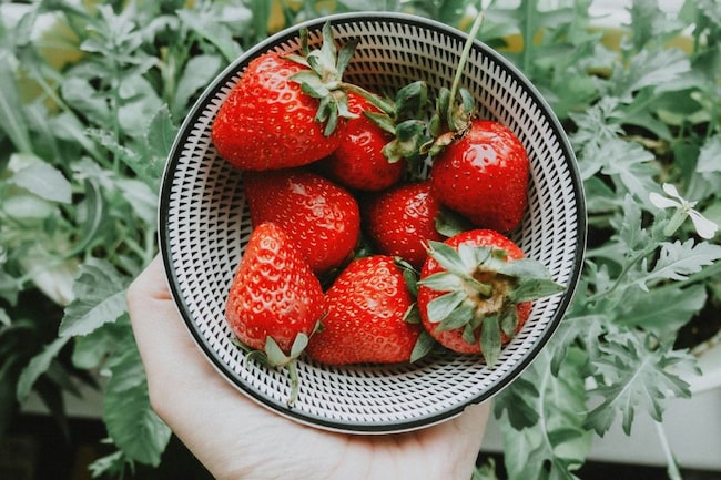 Erdbeeren in Schüssel vor Grün