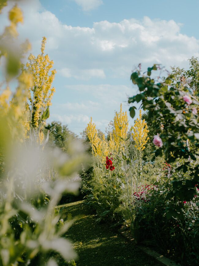 Garten mit Blumen und Sonne