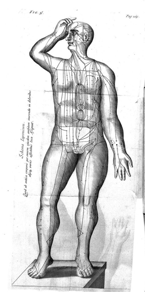 Chart of Japanese figure with meridians