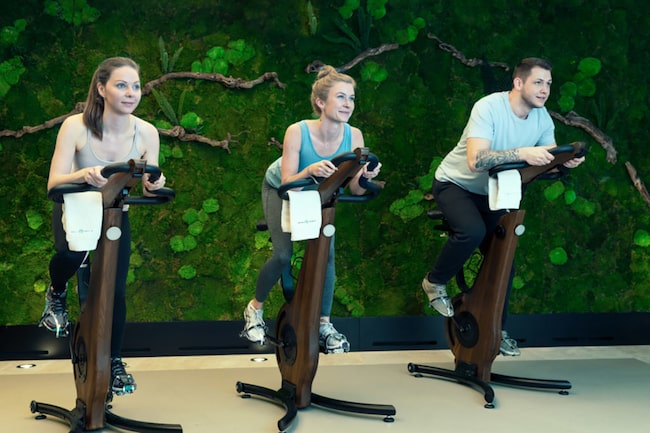 Drei Personen üben Indoor-Cycling aus bei Anima Mentis.