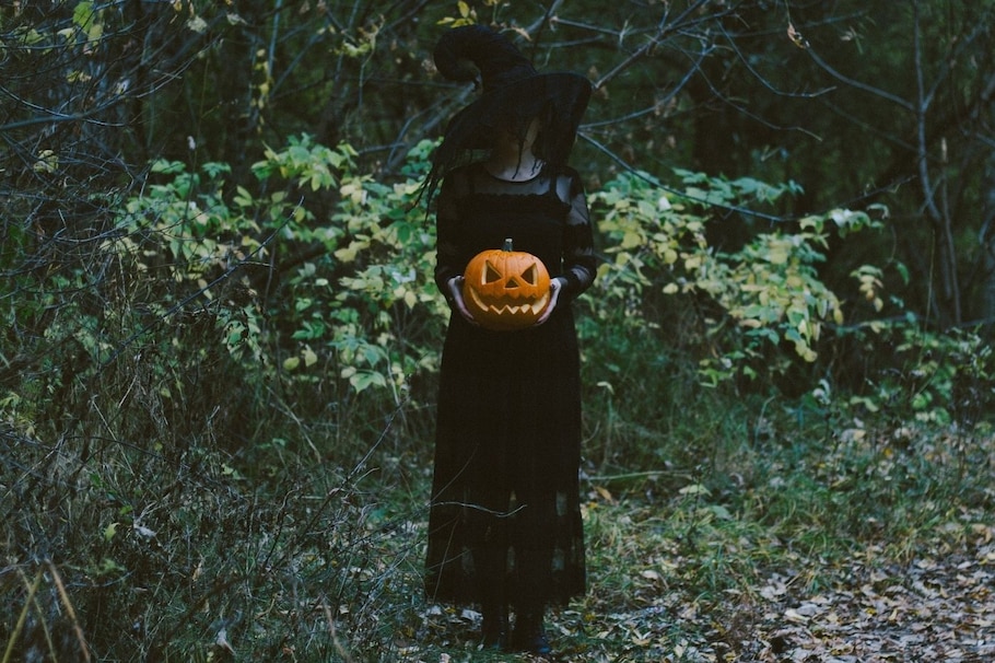 Halloween, Hexe, Kostüm, Wald, Kürbis, geschnitzt
