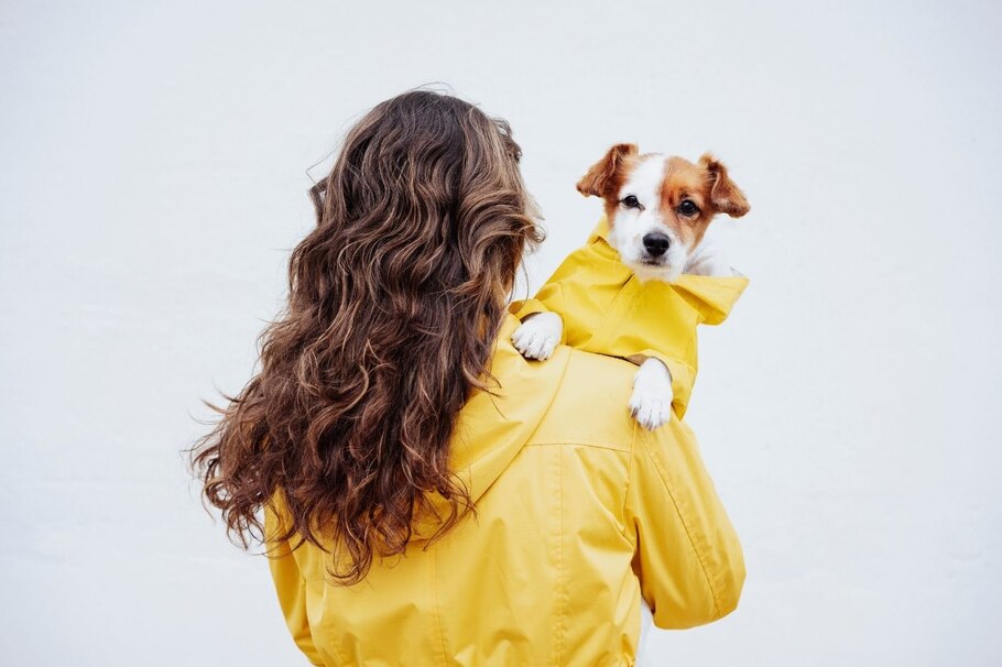 lange haare, frau, Hund, draußen