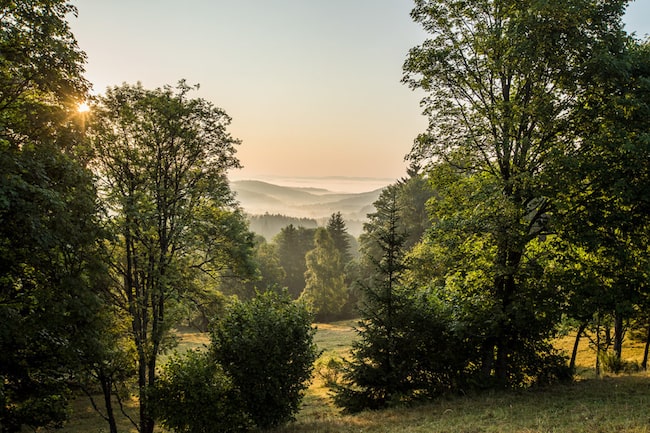 Mühlviertel und Wald