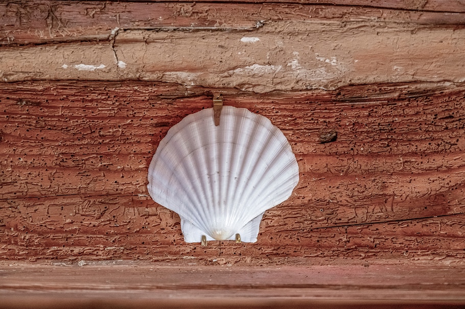 Jakobsmuschel auf einer alten Holzwand. Sie ist das Symbol für den Jakobsweg und ein Glücksbringer für Pilger.