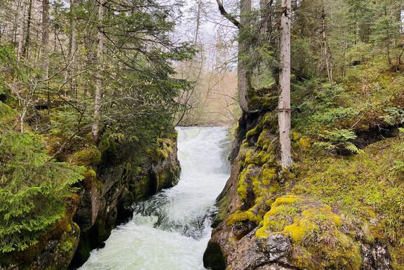 Toplitzer Wasserfall