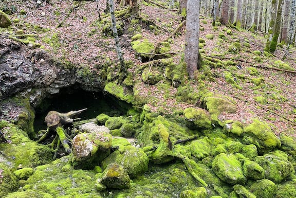 Flussbett Stimmitz-Loch