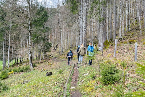 Frauen gehen durch Wald