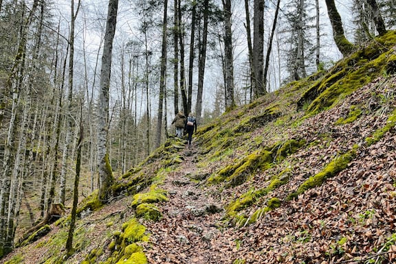 Frauen gehen steil bergauf durch Wald