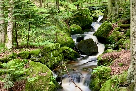Nicht klamm in der Klamm