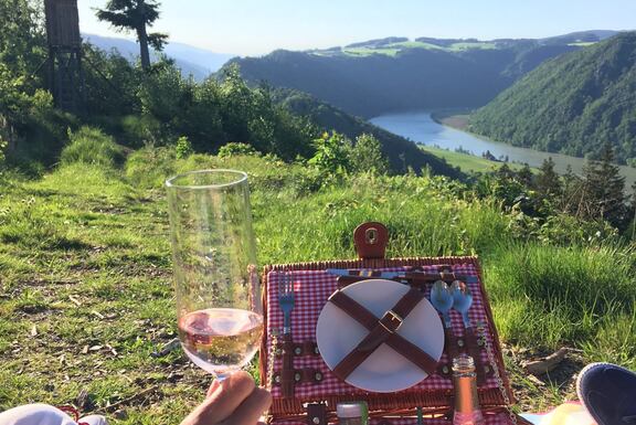Picknick an der Schlögener Schlinge
