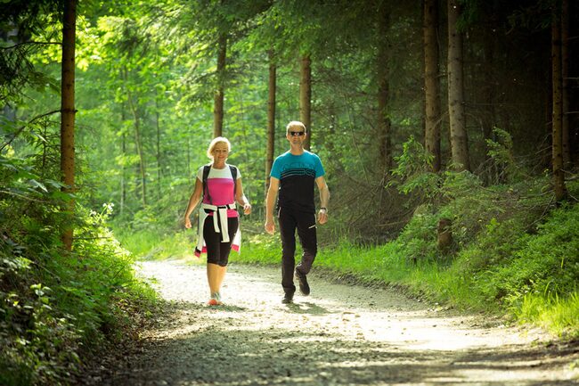 Wanderer im Moorwald