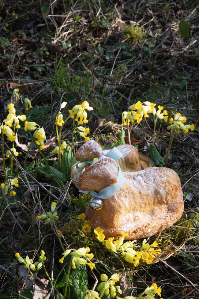 Vegetarisches Osteressen: Selbst gebackenes Osterlamm ist ein guter Nachtisch zu Ostern