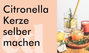 Citronella-Kerze selber machen, DIY aus dem carpe diem-Magazin