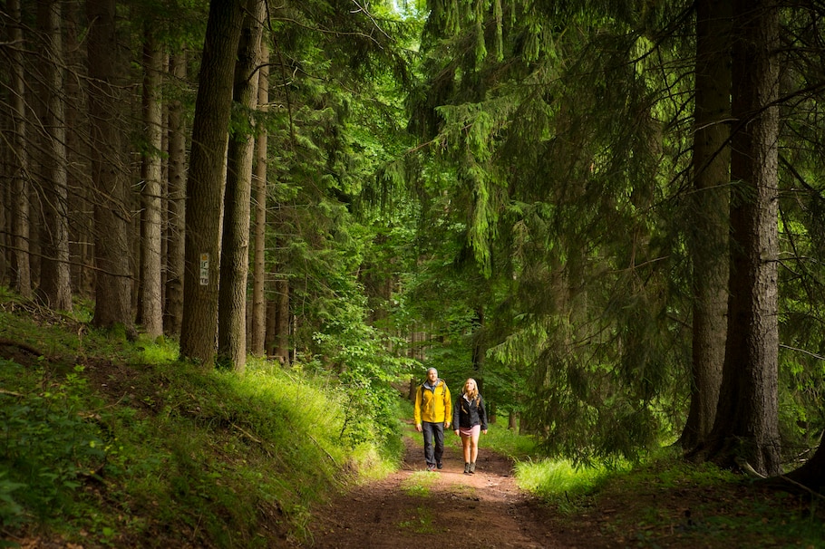 Mann und Frau wandern auf einem Weg durch den Thüringer Wald