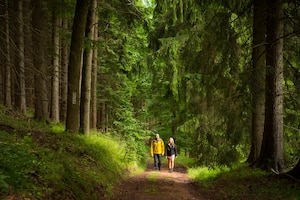 Mann und Frau wandern auf einem Weg durch den Thüringer Wald