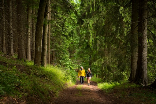 Mann und Frau wandern auf einem Weg durch den Thüringer Wald