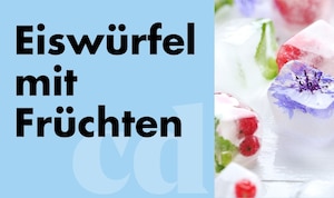 Eiswürfel mit Früchten DIY